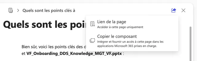 Exemple de partage avec Copilot Pages
