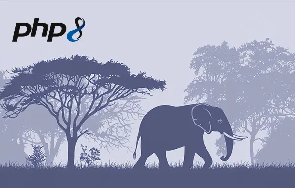 Livre Kubernetes<br />
Mise en œuvre d'un cluster et déploiement de microservices