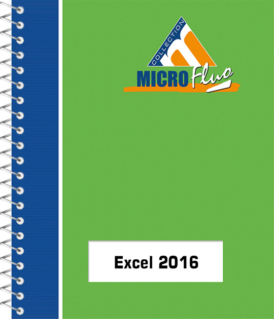 Excel 2016 - Fonctions essentielles