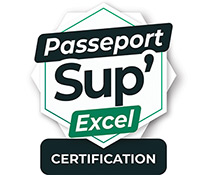 Certification Bureautique Excel 2024 (avec e-surveillance) Créer des tableaux visuels efficaces avec Excel 2024 - RS7536