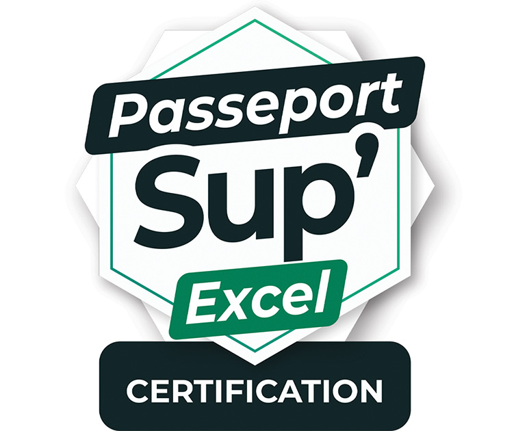 Certification Bureautique Excel 2024 (avec e-surveillance) - Créer des tableaux visuels efficaces avec Excel 2024 - RS7536