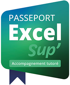 Passeport Excel Sup' - Parcours avec accompagnement tutoré - Accès à la e-formation Excel 2024 + exercices pratiques progressifs + formations tutorées + certification Excel 2024