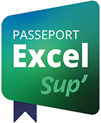 Passeport Excel Sup' - Parcours en autonomie Accès à la e-formation Excel 2024 + exercices pratiques progressifs + certification Excel 2024