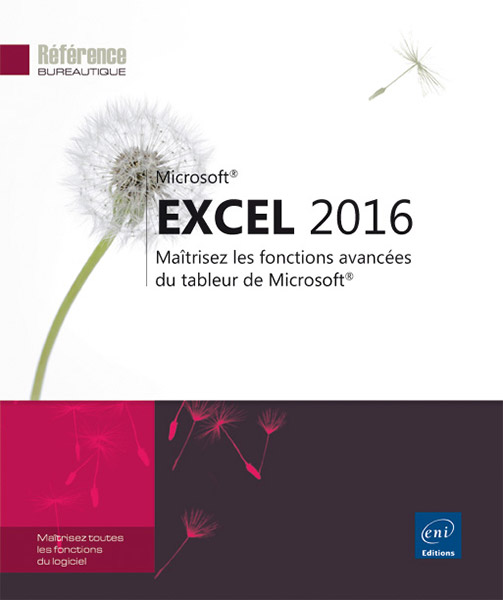 Excel 2016 - Maîtrisez les fonctions avancées du tableur de Microsoft&reg;