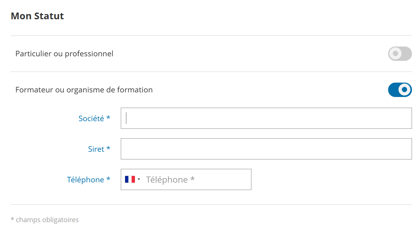 icone profesionnels ENI- decoration