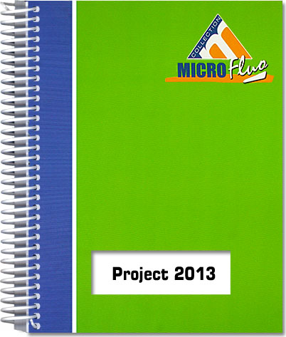 Project 2013 - Fonctions essentielles