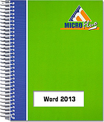 Word 2013 - Fonctions essentielles